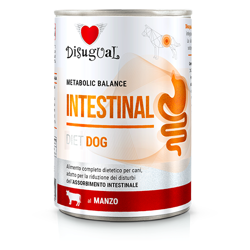 DISUGUAL Intestinal – Wołowina (400g)