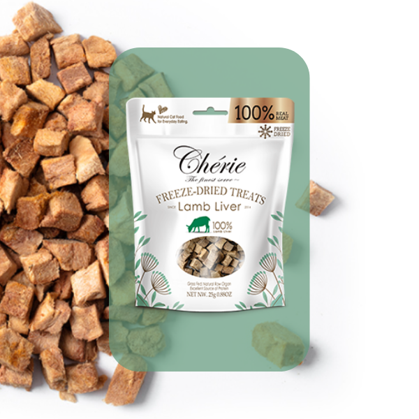 CHÉRIE przysmak wątroba jagnięca dla kota (30g)