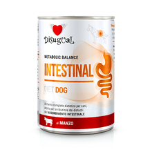 DISUGUAL Intestinal – Wołowina (400g)