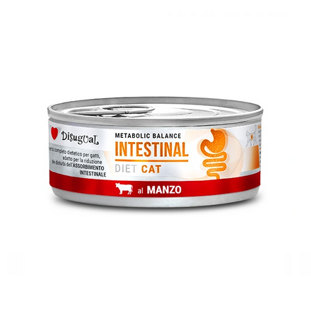 DISUGUAL CAT Intestinal Wołowina (85g)