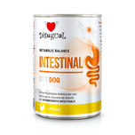 DISUGUAL Intestinal – Kurczak (400g)