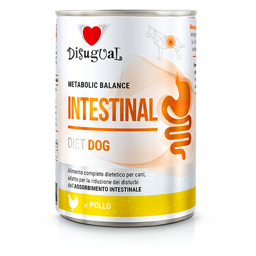 DISUGUAL Intestinal – Kurczak (400g)