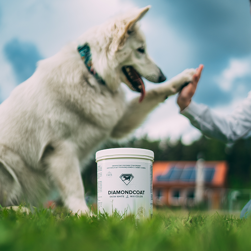 POKUSA DiamondCoat SnowWhite & MixColor (300g)