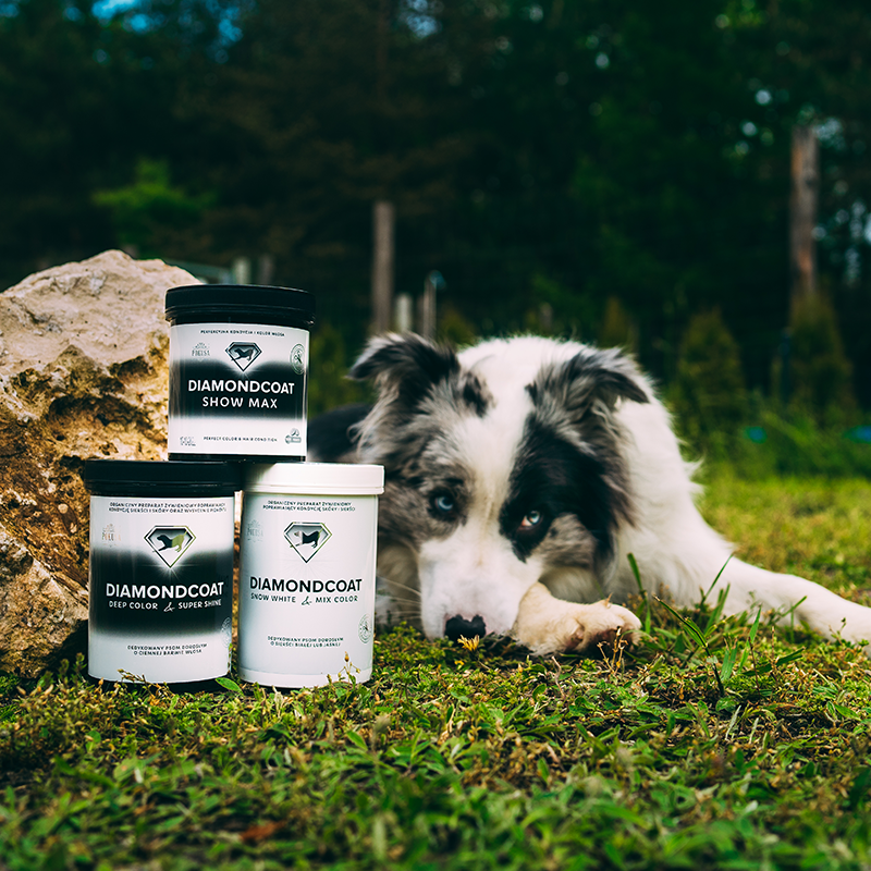 Pokusa DiamondCoat – na ciemną sierść dla psa (100g)