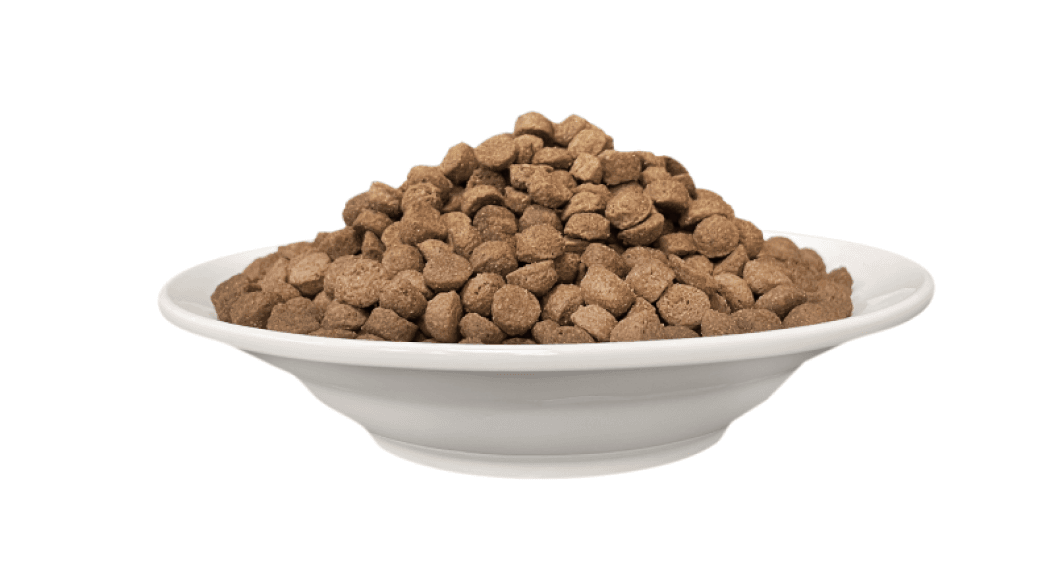 Cherie Chérieucha karma dla kota z naturalnym indykiem, warzywami, owocami i ziołami (400g, 2kg)