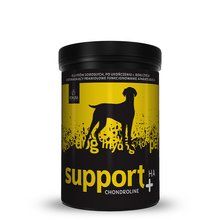 Pokusa Chondroline  Support  – stawy dla psa dorosłego (350g)